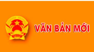 Không có ảnh
